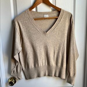 Light weight Spring Women's Beige V-Neck Sweater